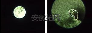 內(nèi)窺鏡維修