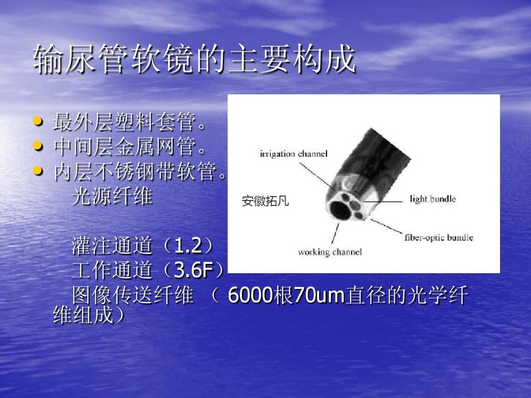 輸尿管鏡維修